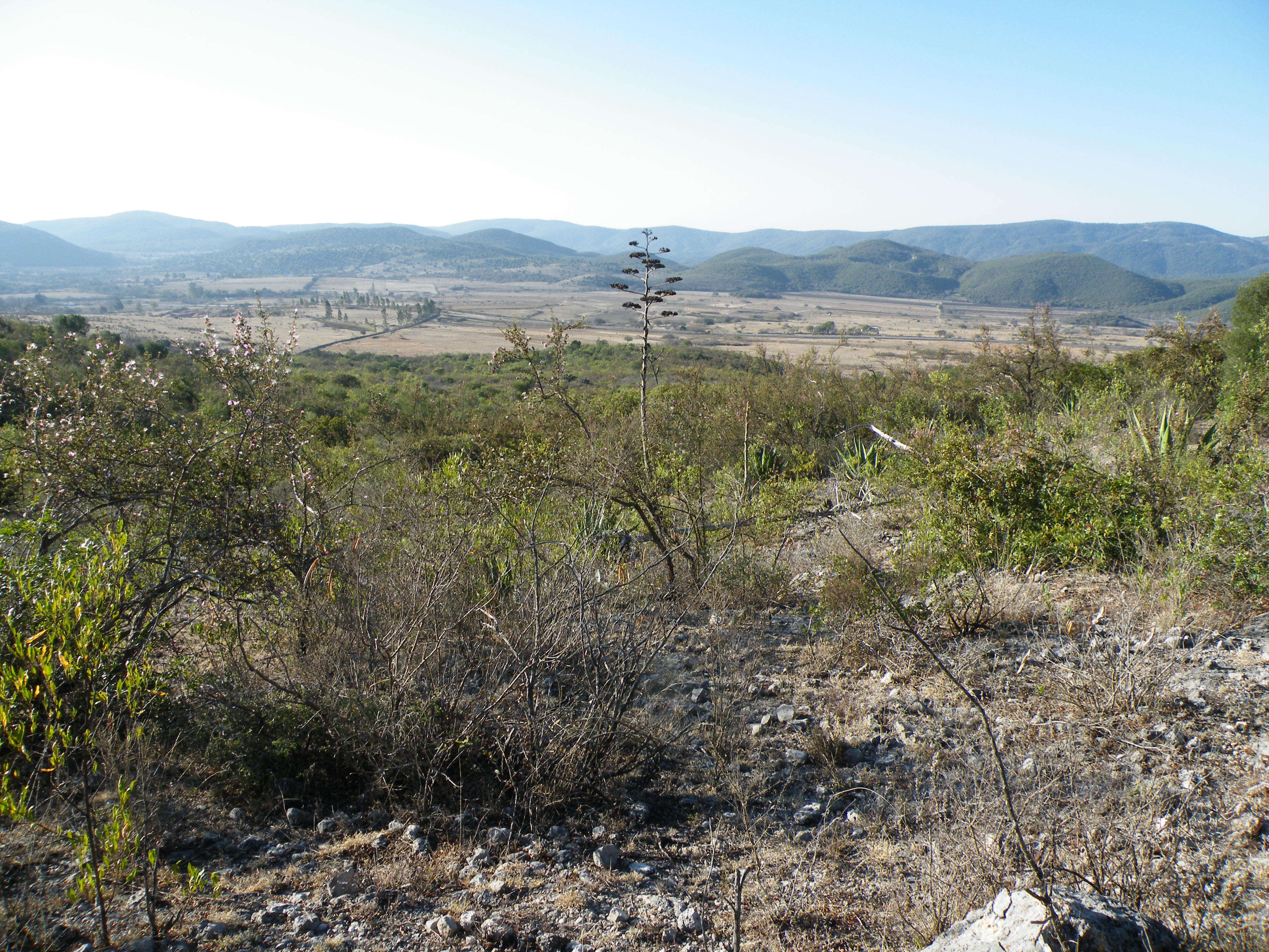 Guadalcazar 2, San Luis Potosi (5765515765).jpg