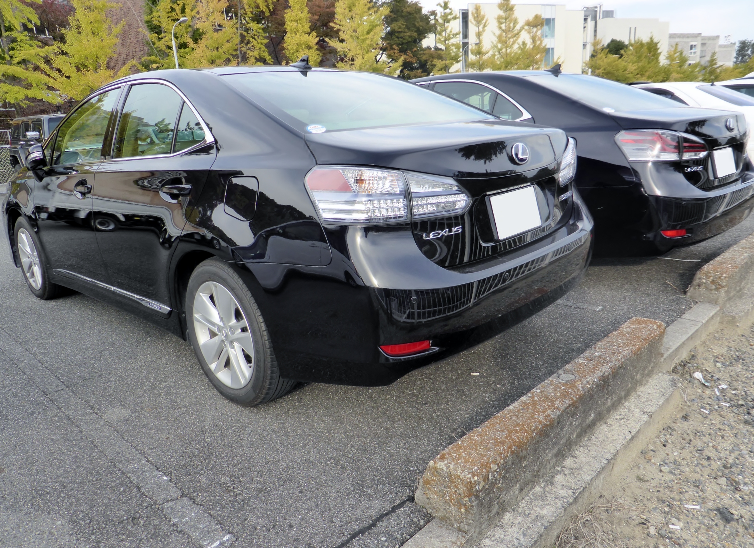 File:Lexus HS250h (ANF10) rear.JPG - Wikimedia Commons