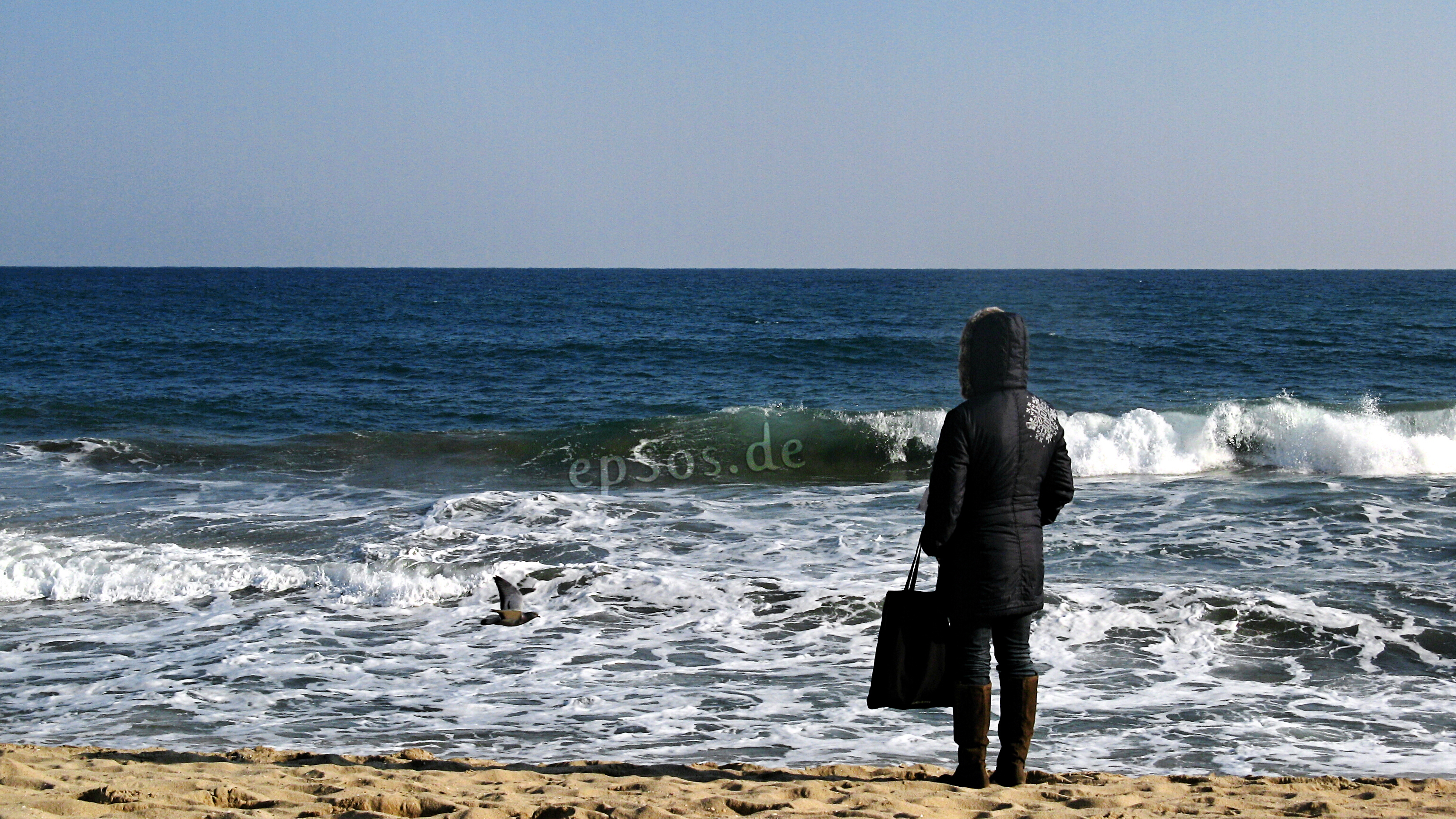 File Lonely Woman Watching Sea Waves On Beach Jpg Wikipedia