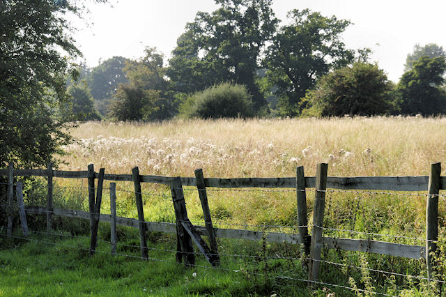 File:Meadow, Chilland - geograph.org.uk - 963798.jpg