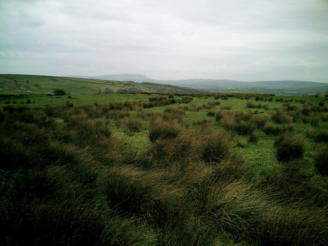 File:Moorland, Forest of Trawden - geograph.org.uk - 1257091.jpg