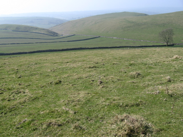 On Wetton Hill - geograph.org.uk - 1233593