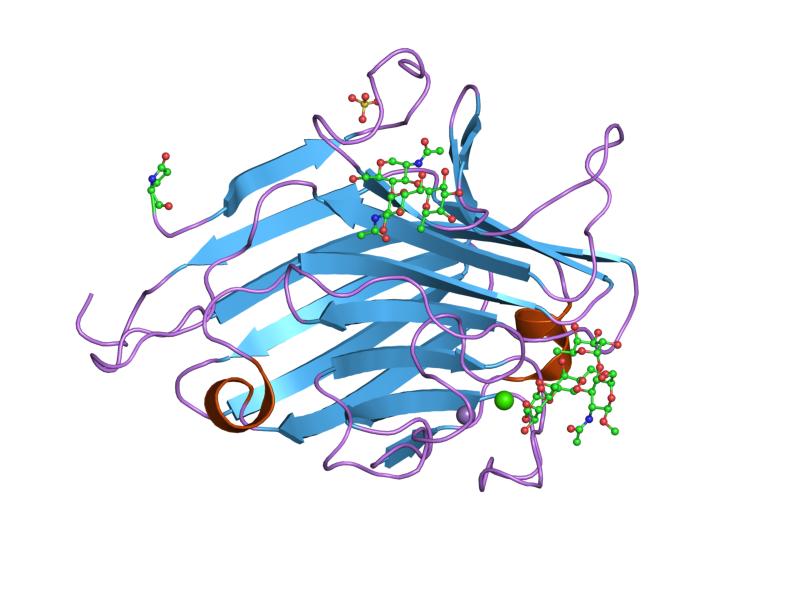 File:PDB 1led EBI.jpg