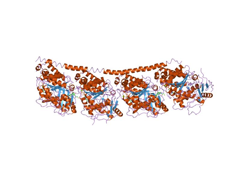 File:PDB 1sa0 EBI.jpg