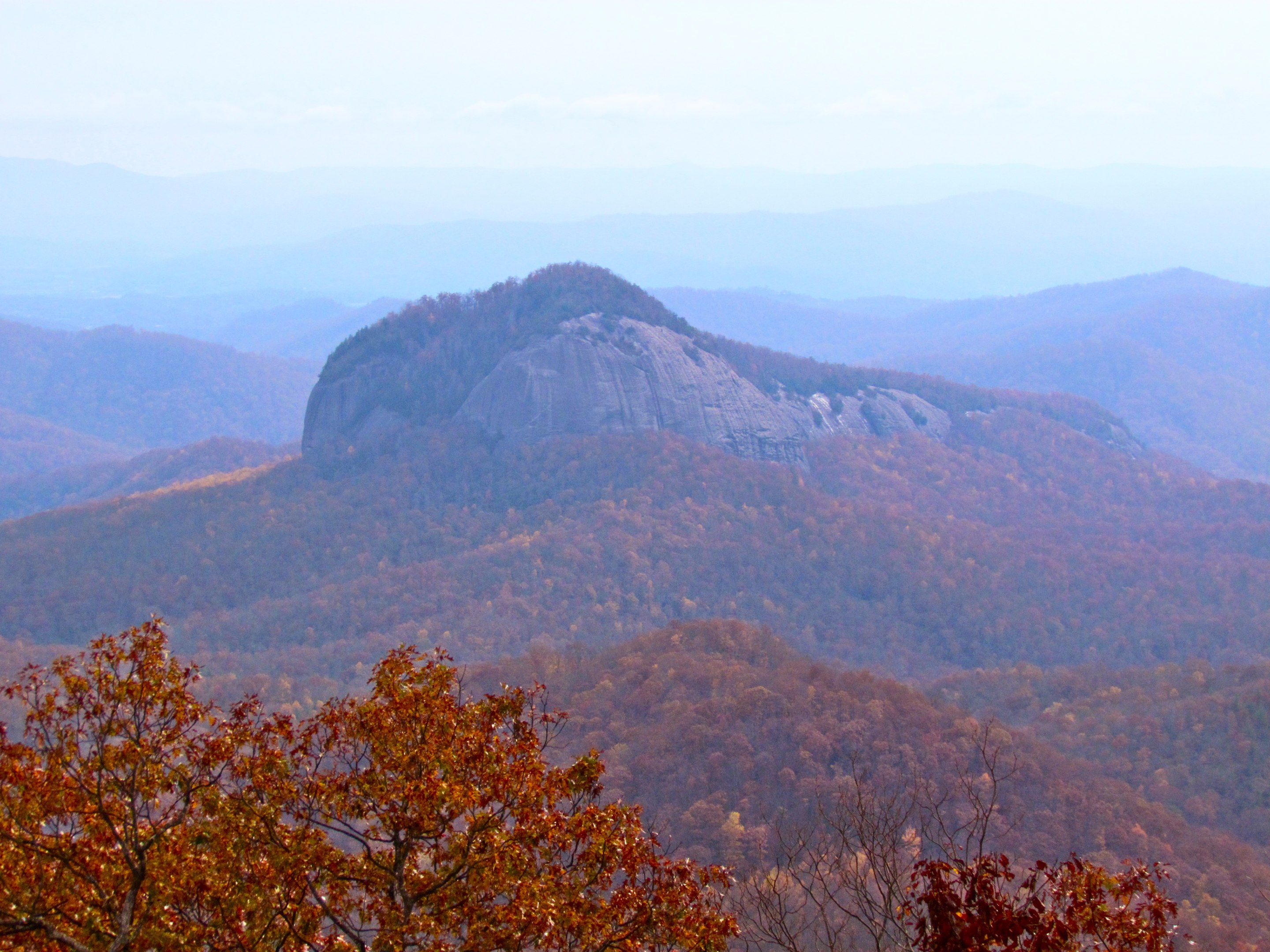 Pisgah National Forest