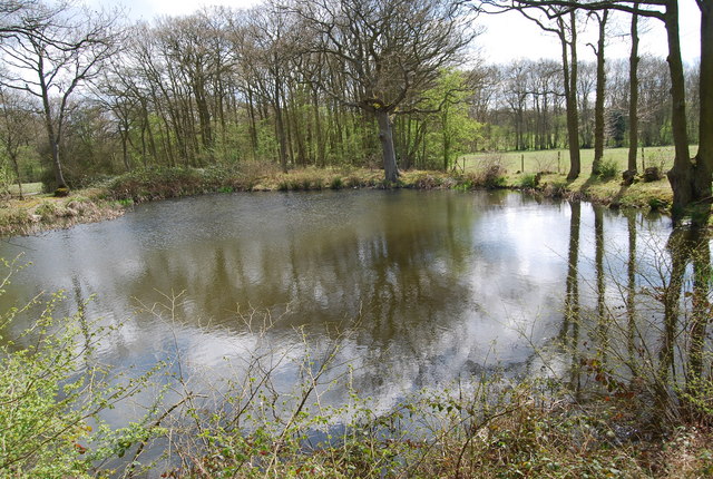 File:Pond near Bough Beech Reservoir - geograph.org.uk - 1256919.jpg