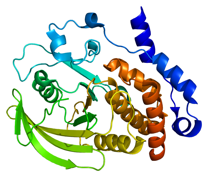 Ген ptpn11. Protein phosphatase 1. Шаблон гены. Bone morphogenetic Protein 7. Ген 1 телефон