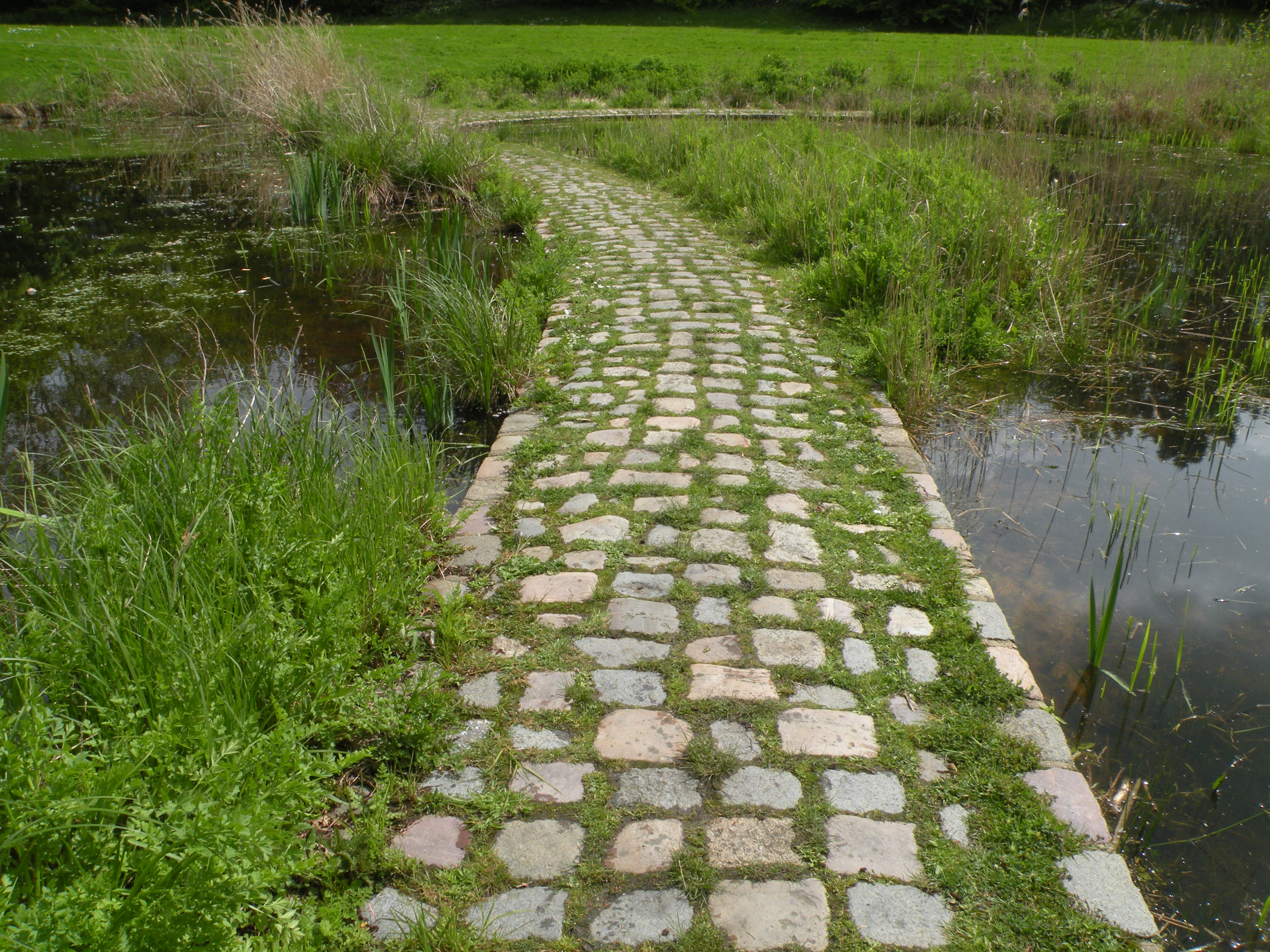 Parc de Bréquigny  France Bretagne Ille-et-Vilaine Rennes 35000