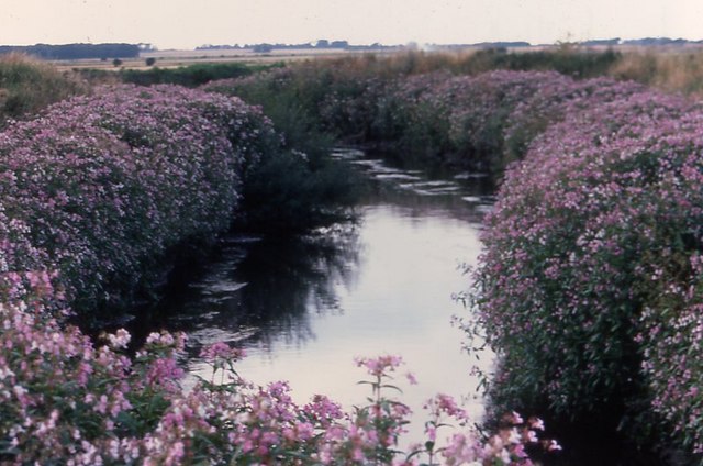 File:River Alt at Sefton - geograph.org.uk - 332378.jpg