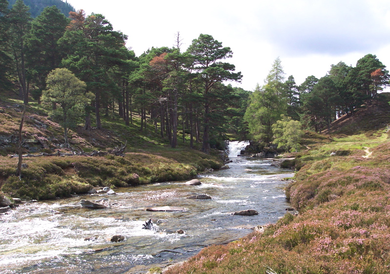 Mar Lodge Estate