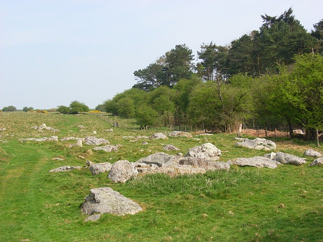 File:Sarsen stones, beside Delling Copse - geograph.org.uk - 408882.jpg