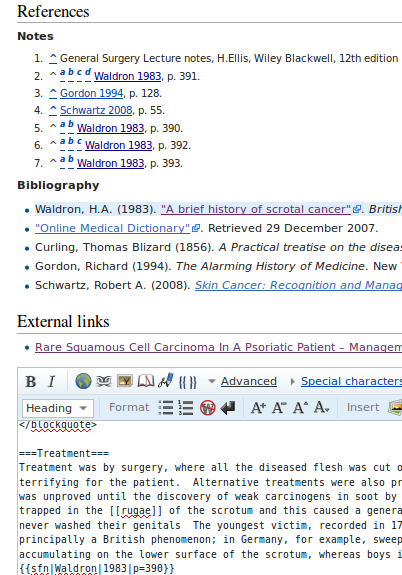 File:Screenshot-07 Wiki Reference rendering.png