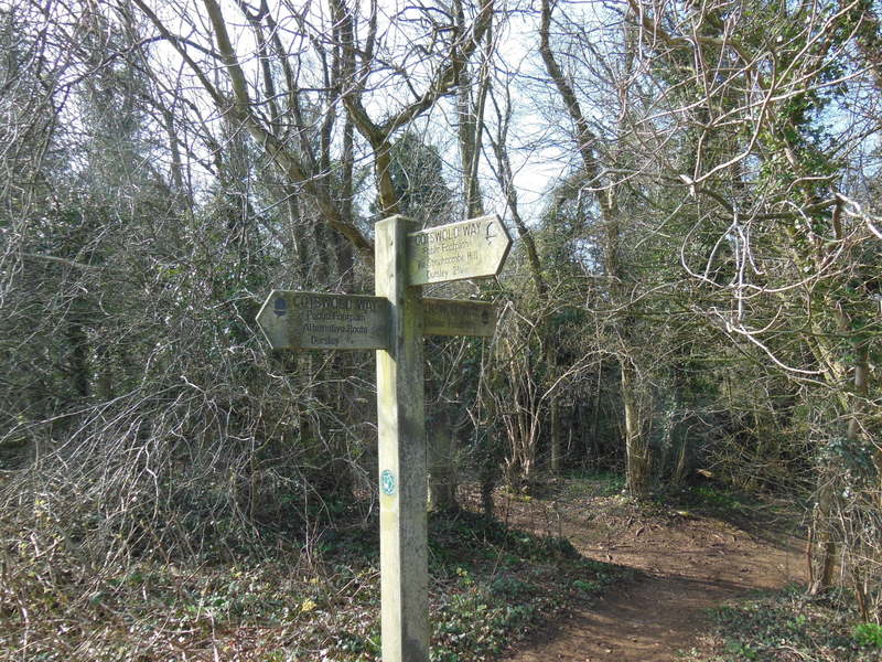 File:The Cotswold Way leaves Stinchcombe Hill - geograph.org.uk - 3448250.jpg