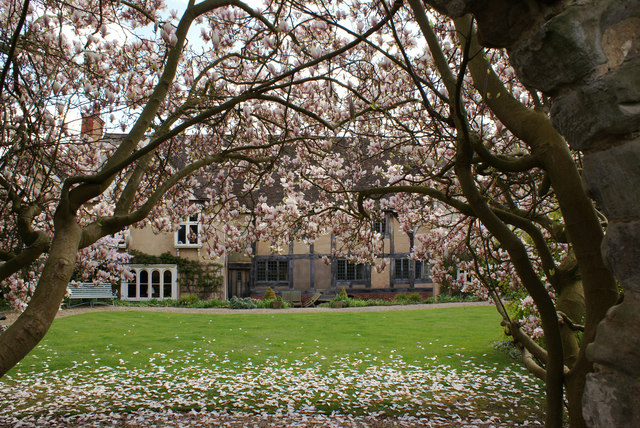 File:The Master's Garden - geograph.org.uk - 1240253.jpg