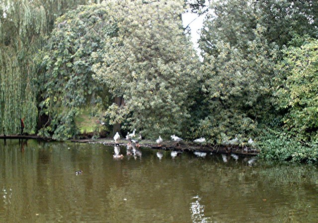 File:The duck pond, Southchurch Hall - geograph.org.uk - 334216.jpg