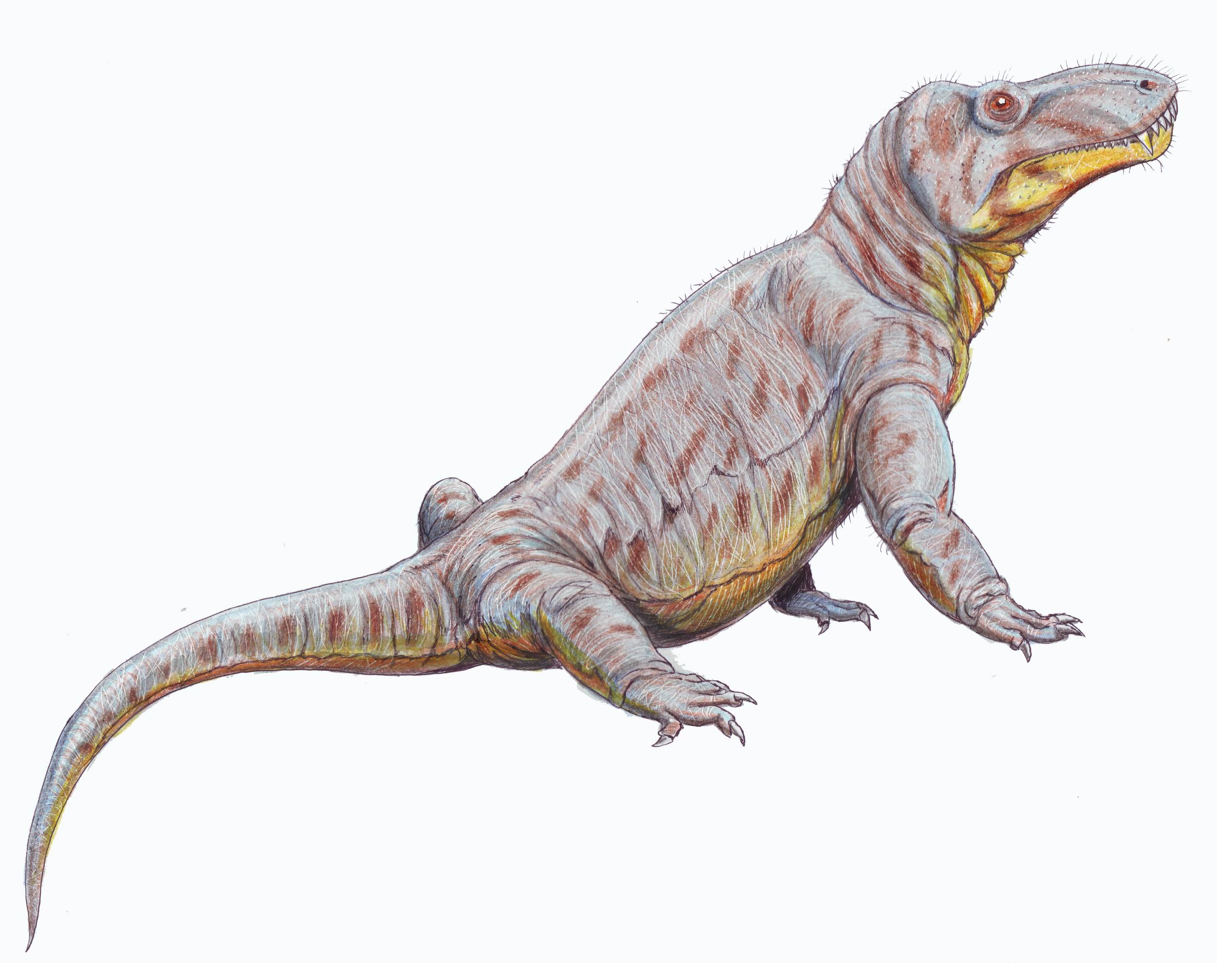 Titanosuchus - Wikipedia