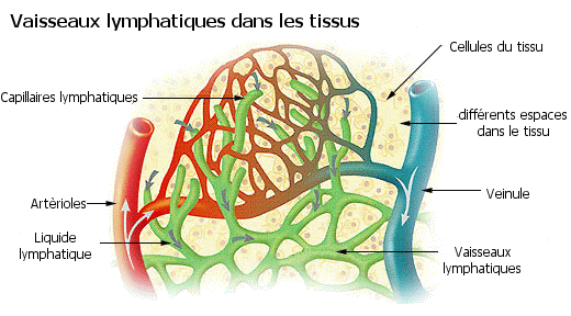 Autres tests et mesures