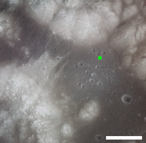 <span class="mw-page-title-main">Van Serg (crater)</span> Feature on the moon