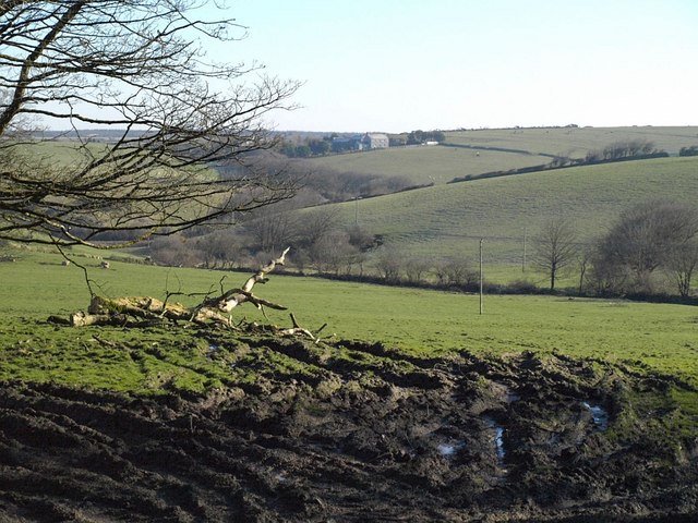 File:View from Trevivian - geograph.org.uk - 731246.jpg