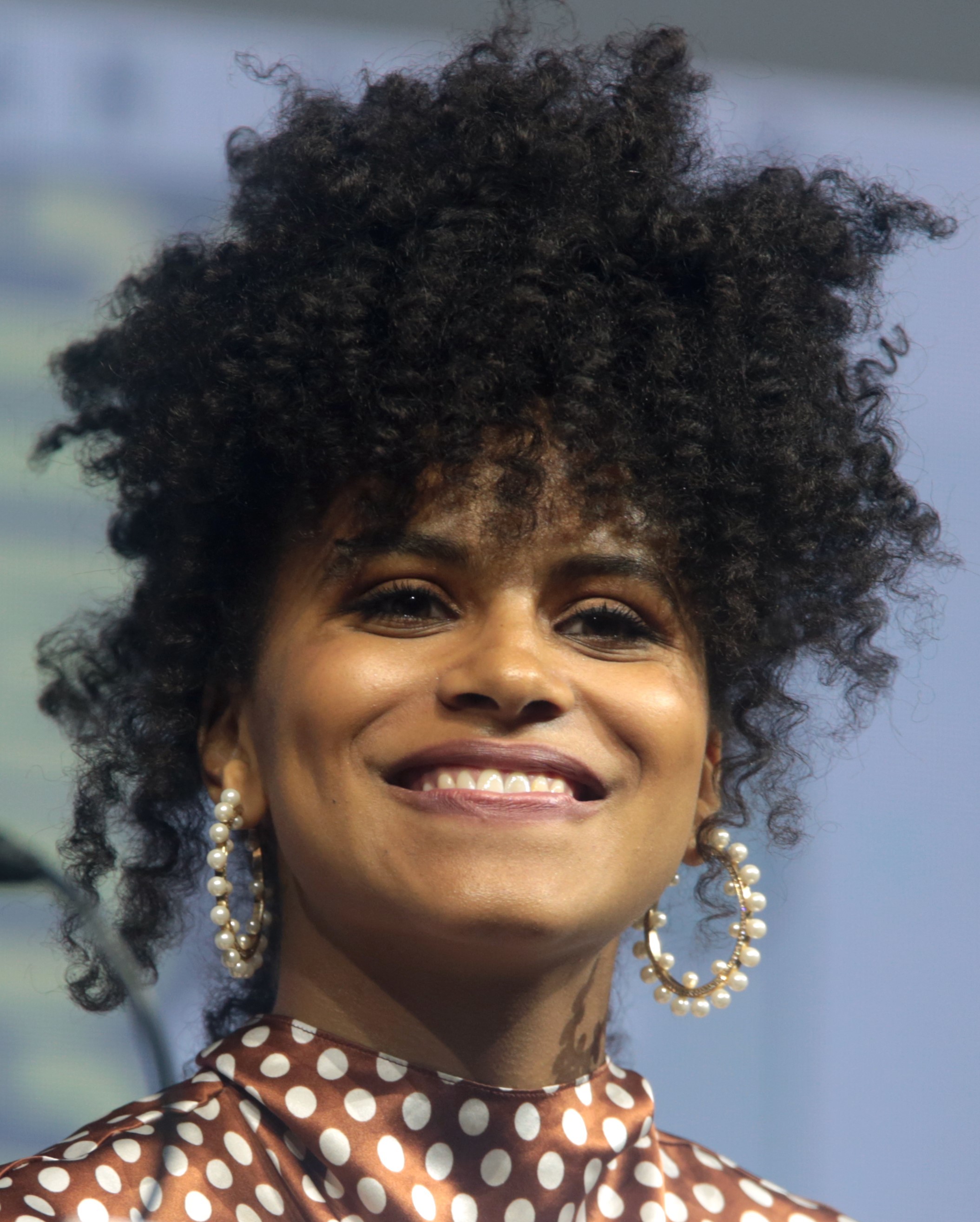 Zazie Beetz Wikipedia