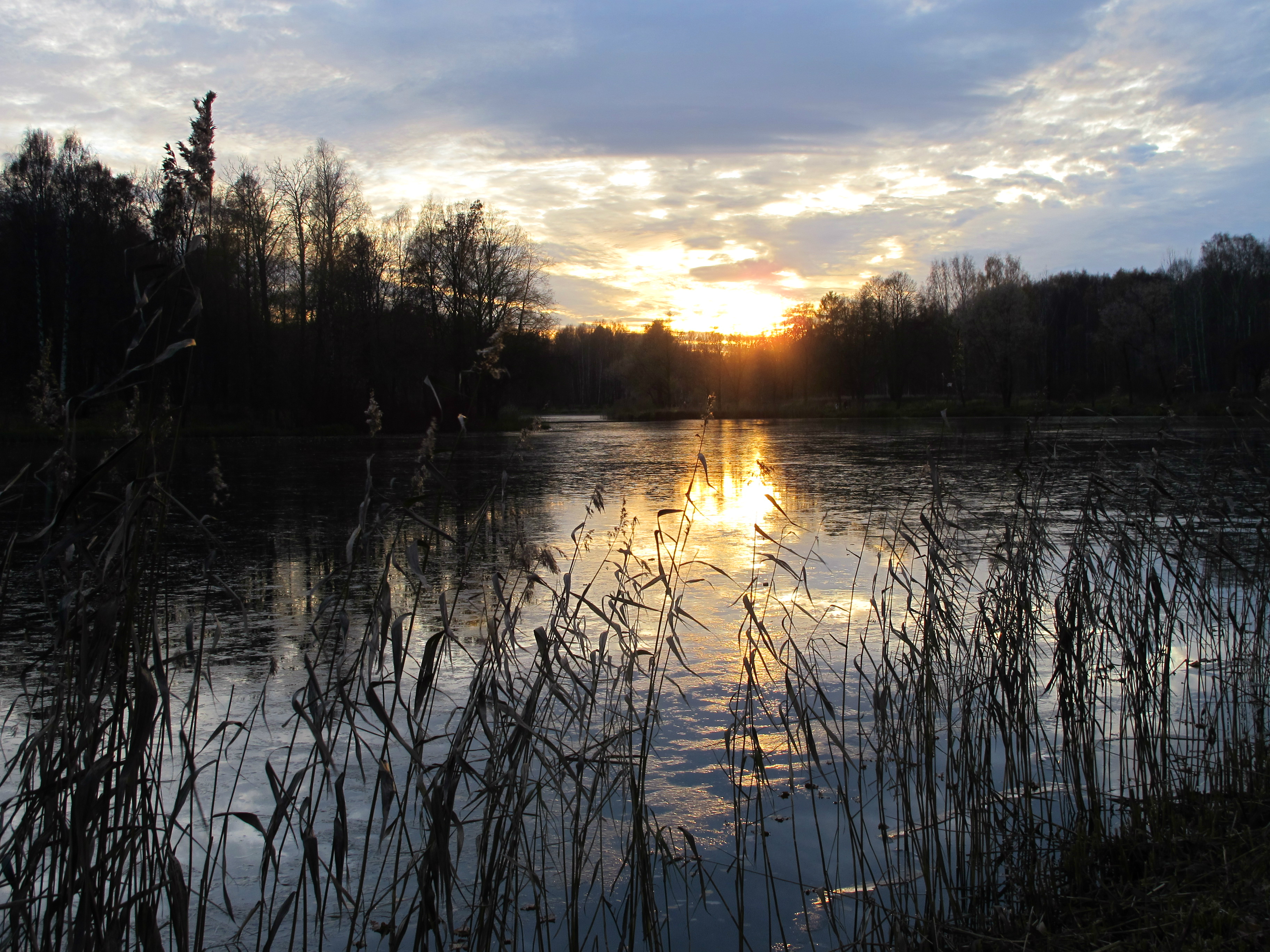 1 водоем