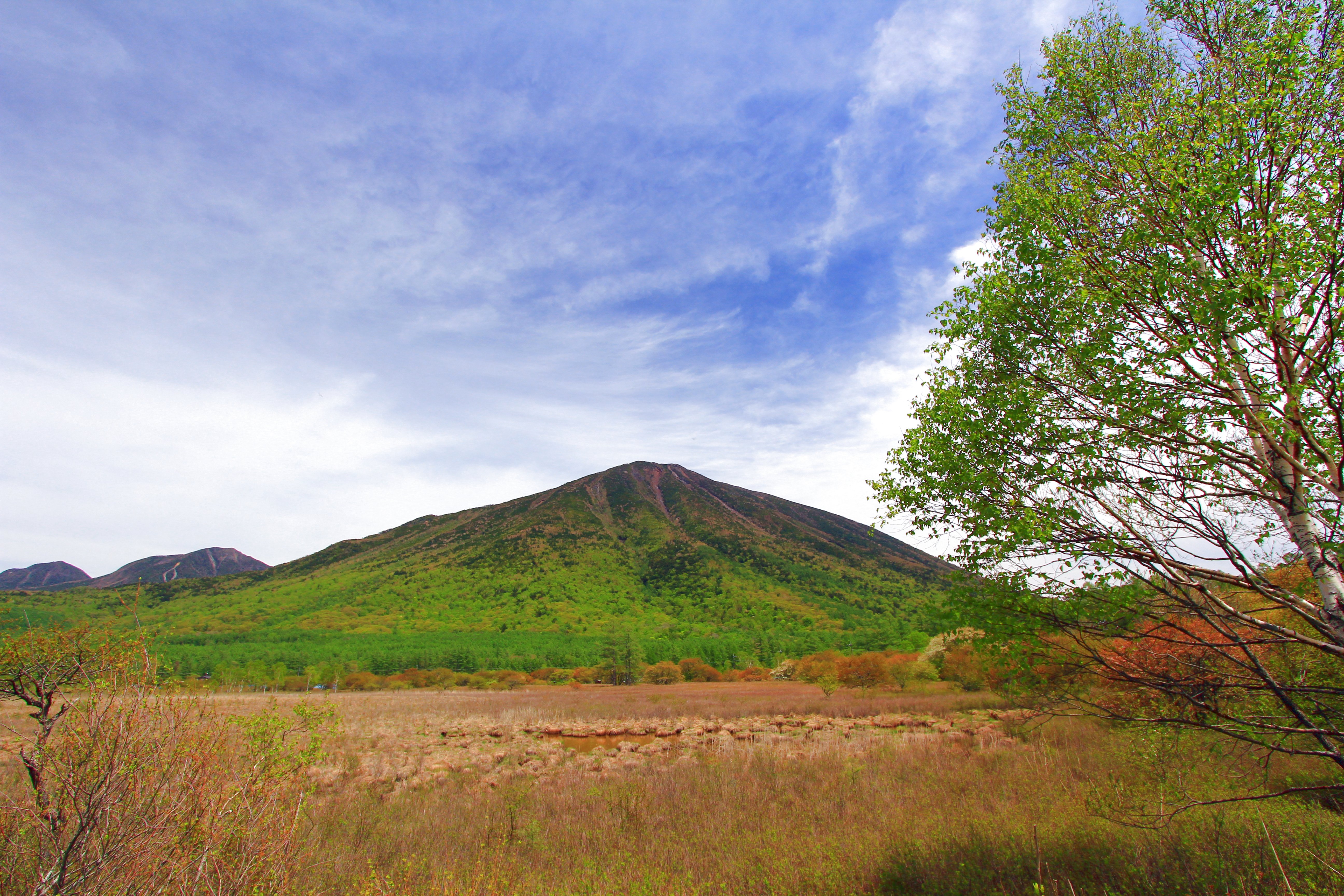 File 戦場ヶ原 Panoramio 13 Jpg Wikimedia Commons