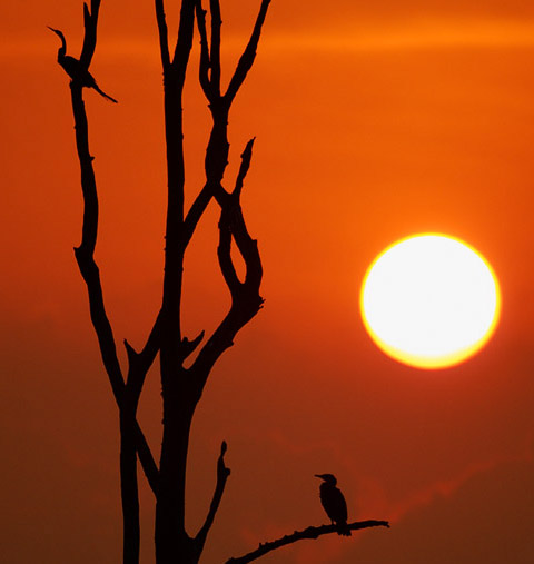 File:2006-kabini-sunset.jpg