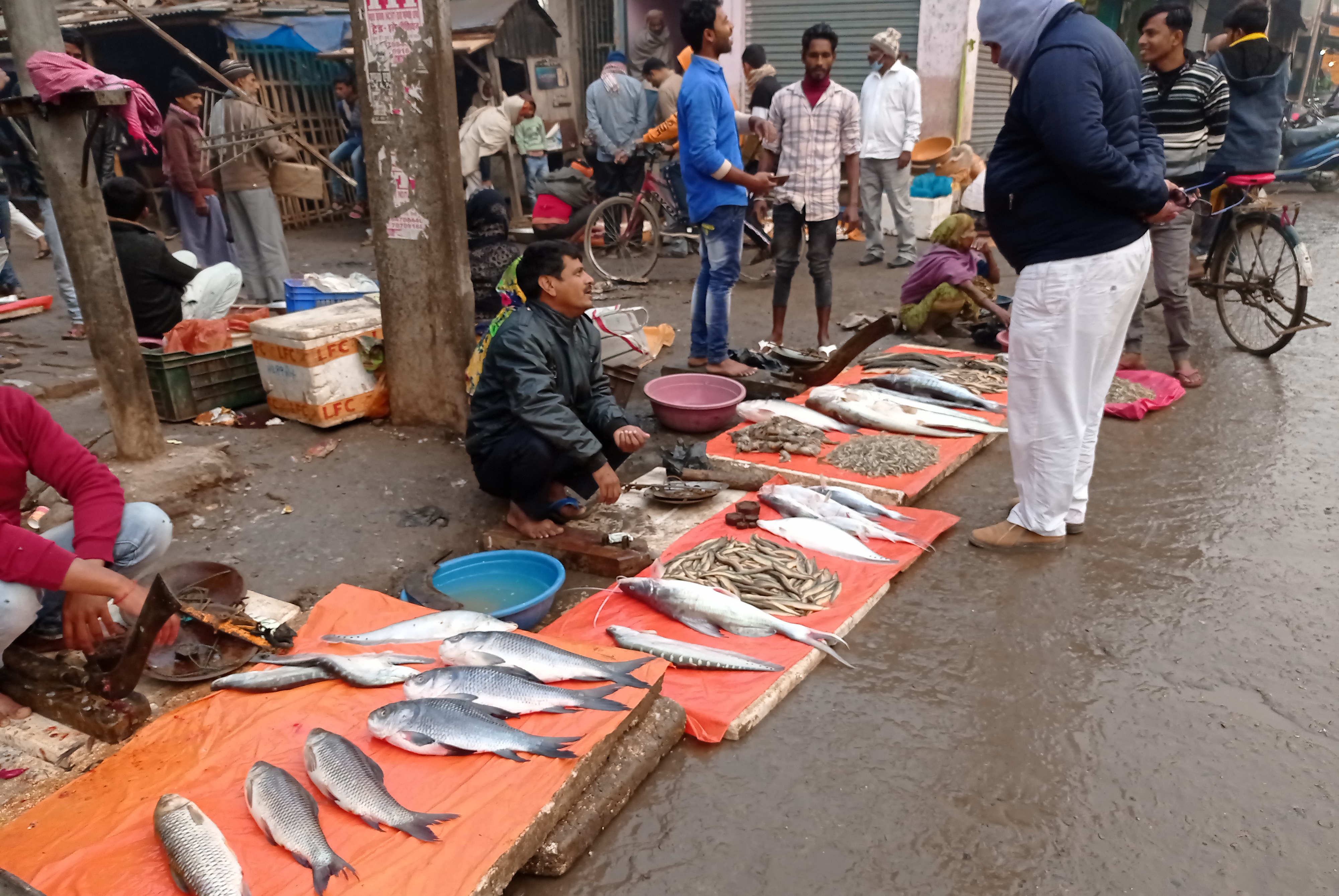 File:A man from Nishad community selling fish in local market(2020).jpg -  Wikipedia