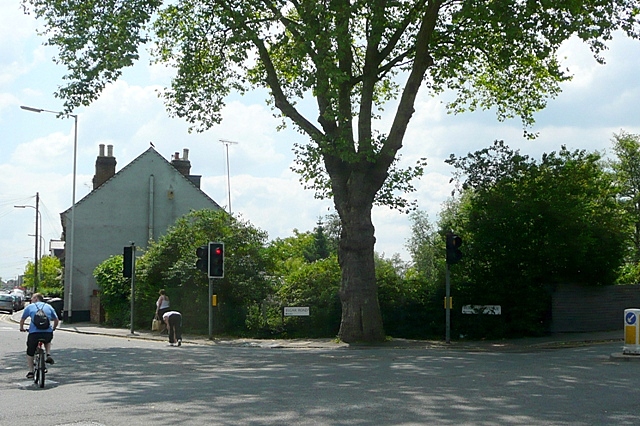 File:A street, a road, an avenue, a lane - geograph.org.uk - 1328304.jpg