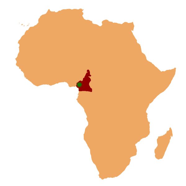 File:Afrique copie.jpg