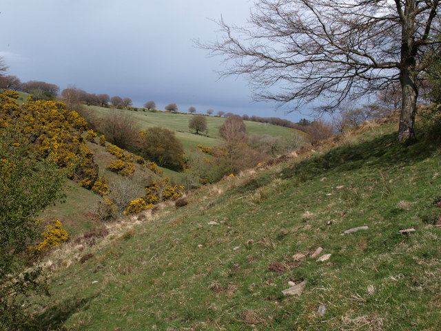 File:Bagley Combe - geograph.org.uk - 1284125.jpg