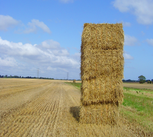 File:Bales near Preston - geograph.org.uk - 953507.jpg