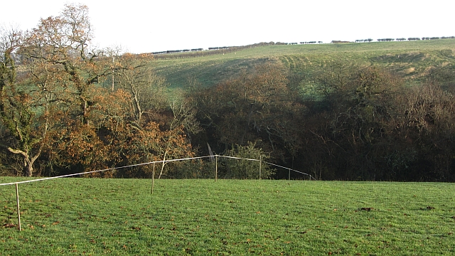 File:By the Oxnam Water - geograph.org.uk - 2699737.jpg