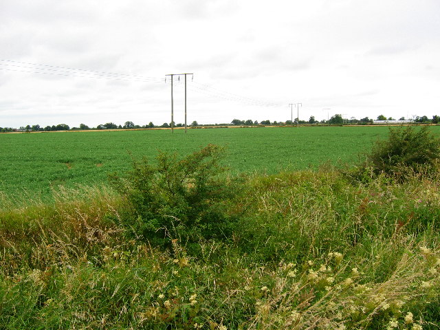 File:Farmland near Sigglesthorne - geograph.org.uk - 30640.jpg