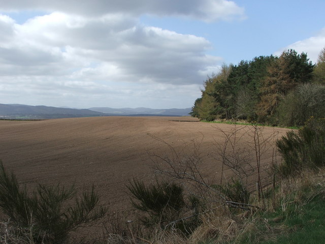 File:Field - geograph.org.uk - 174555.jpg