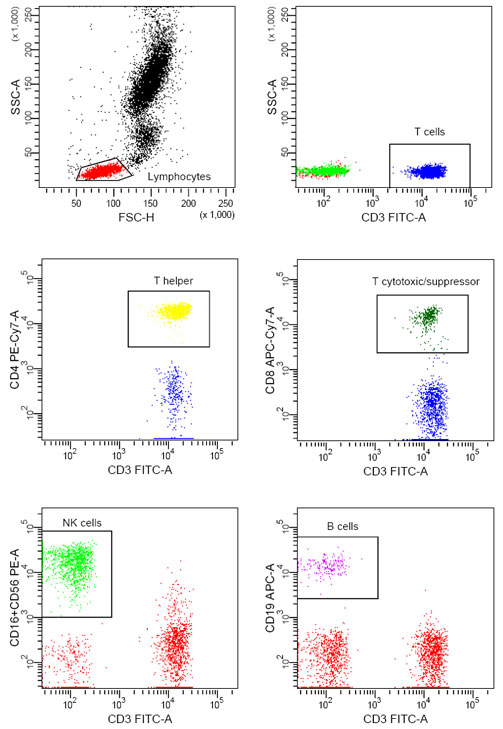 Flow Cytometry Chart