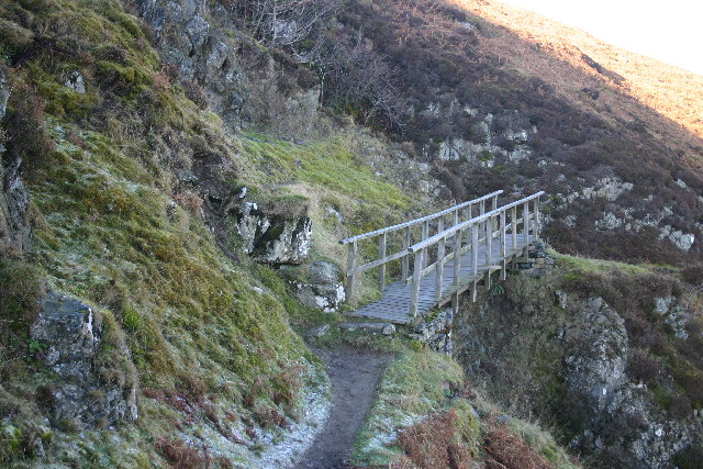 Footbridge over Ravine, Gowbarrow - geograph.org.uk - 101066