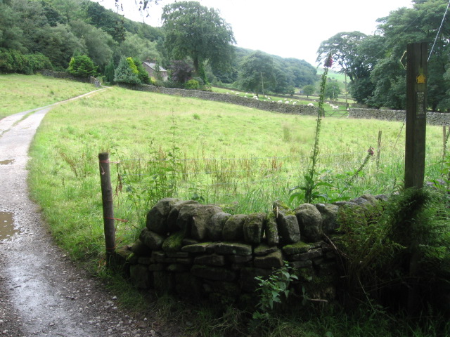 File:Footpath towards Firs Farm - geograph.org.uk - 1413907.jpg