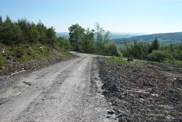 File:Forestry road junction - geograph.org.uk - 197110.jpg