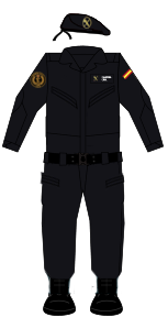 Civil Guard (Spain) - Wikipedia