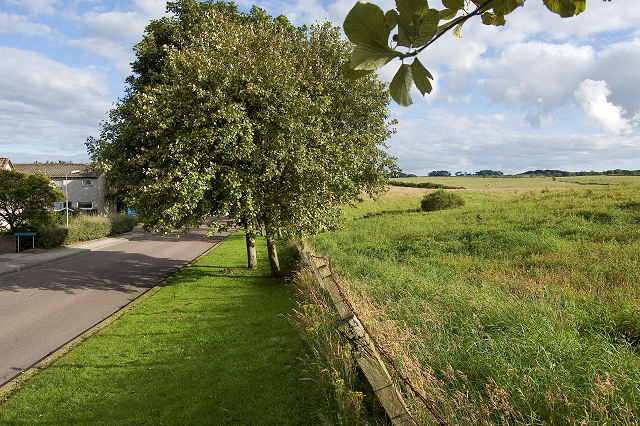 File:Green belt^ - geograph.org.uk - 512727.jpg