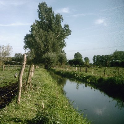 File:Hofflöth(TöVo-Clörath)-2(400x400).jpg