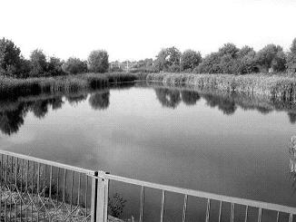 first reservoir of the Kodyma