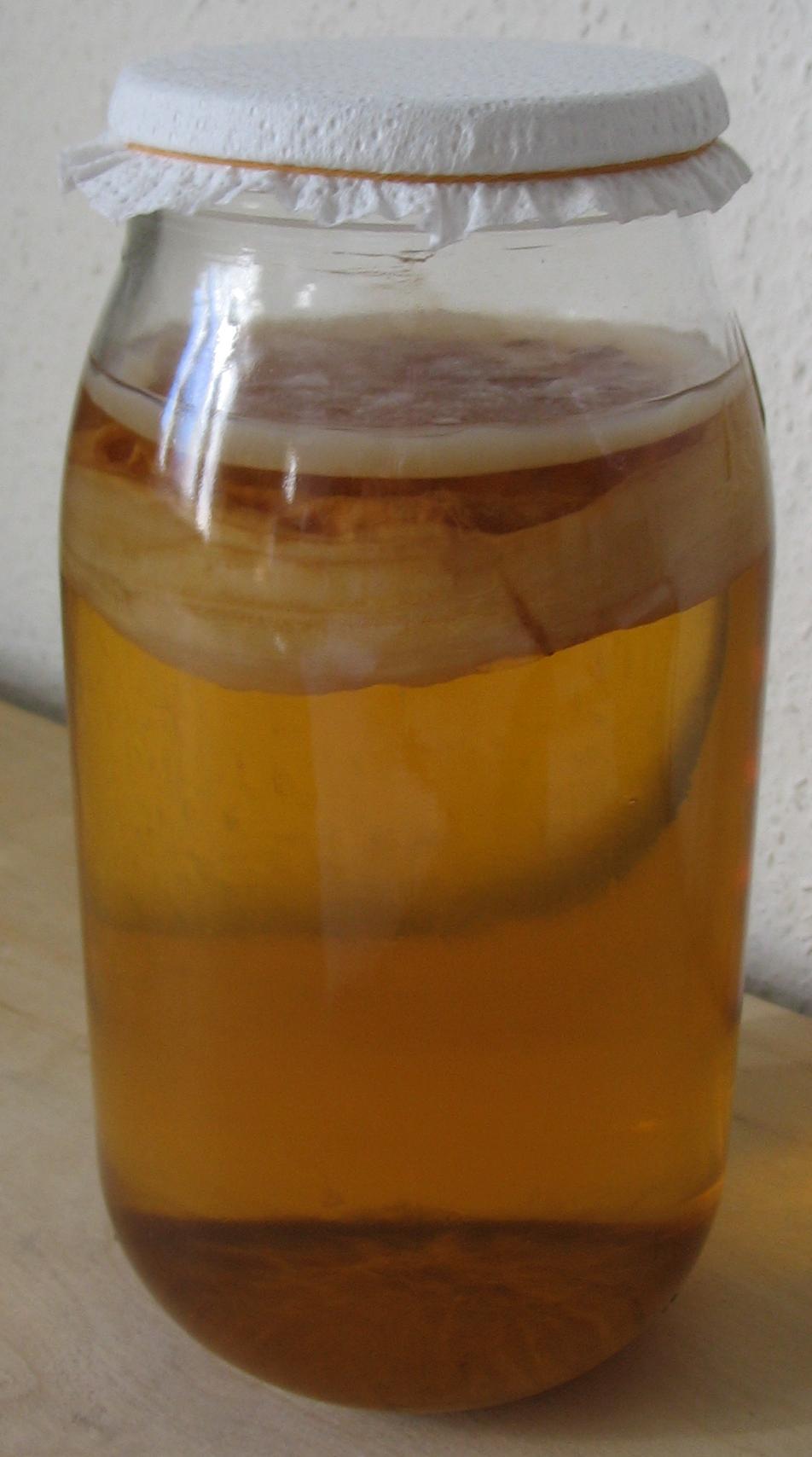 Ferment Boisson Kombucha Bio