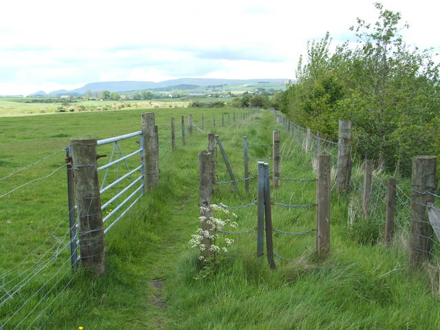 Looking north along the Kelvin Walkway - geograph.org.uk - 947268