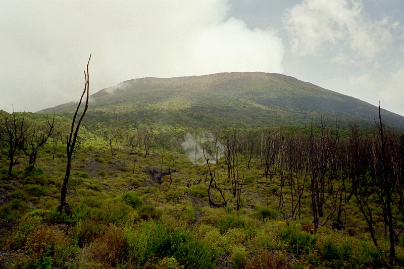 File:Nyiragongo2004.jpg