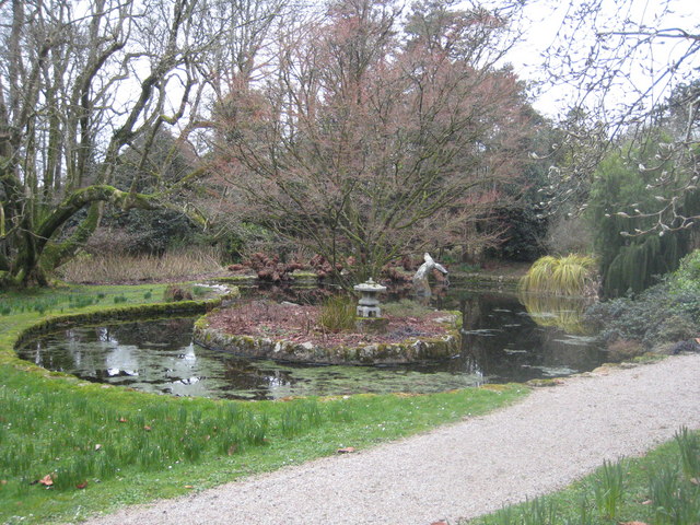 Pond in Trewidden Garden - geograph.org.uk - 1170349