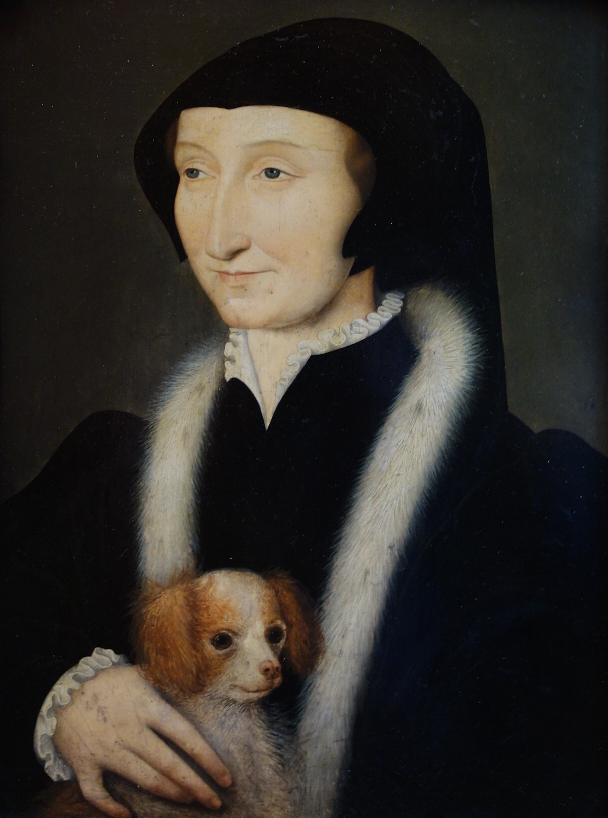 Une dame vêtue de noire, avec une coiffe ajustée noire, un col monté et des poignets en dentelle blanche, une encolure en fourrure blanche, tient un petit chien blanc et roux dans la main droite.