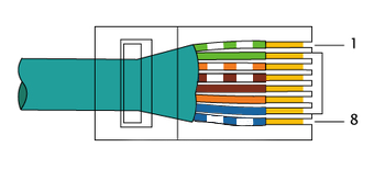 RJ-45 Derecho.png