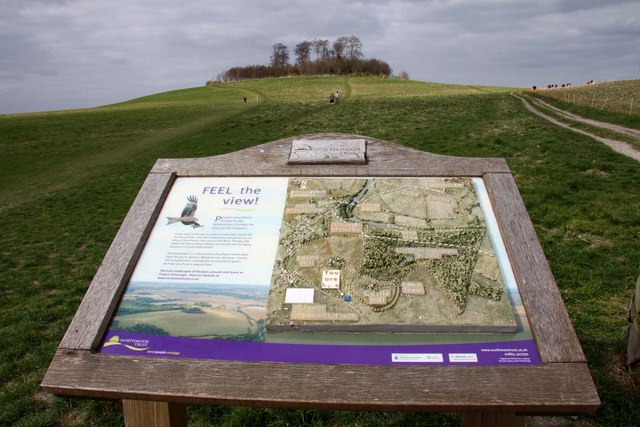 Relief map of the Sinodun Hills - geograph.org.uk - 1242240